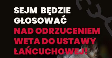 Zerwijmy łańcuchy raz na zawsze – Sejm przygotowuje się do odrzucenia weta prezydenta Nawrockiego